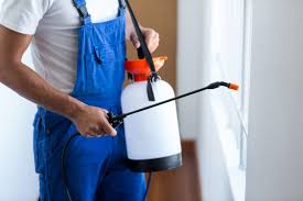 Best Pest Control for Multi-Family Homes  in Ingram, TX